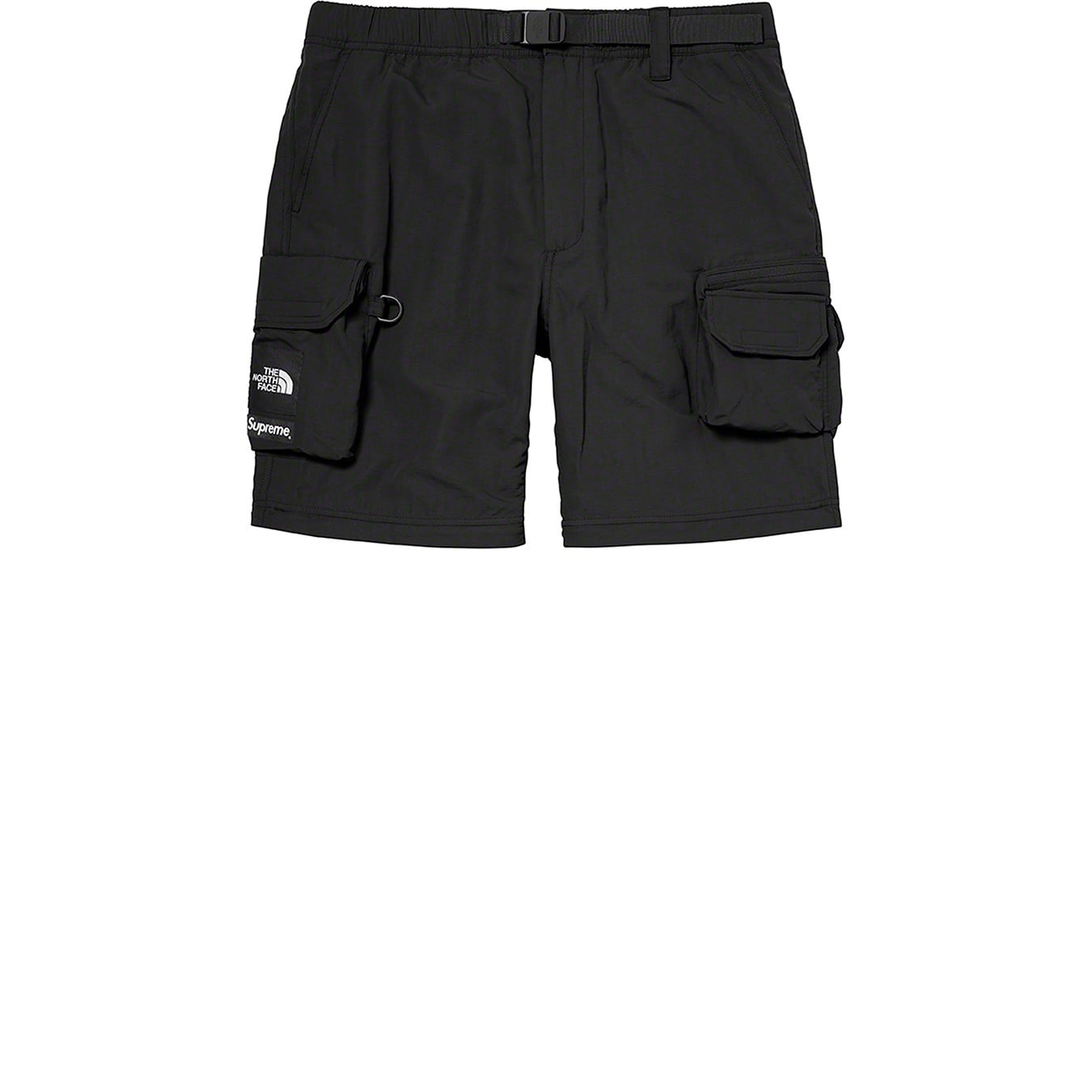 Supreme®/The North Face® Belted Cargo Pant view 11